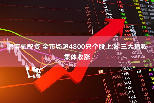 鼎宝融配资 全市场超4800只个股上涨 三大指数集体收涨