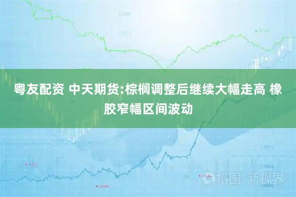 粤友配资 中天期货:棕榈调整后继续大幅走高 橡胶窄幅区间波动