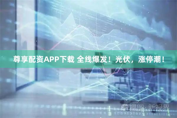 尊享配资APP下载 全线爆发！光伏，涨停潮！