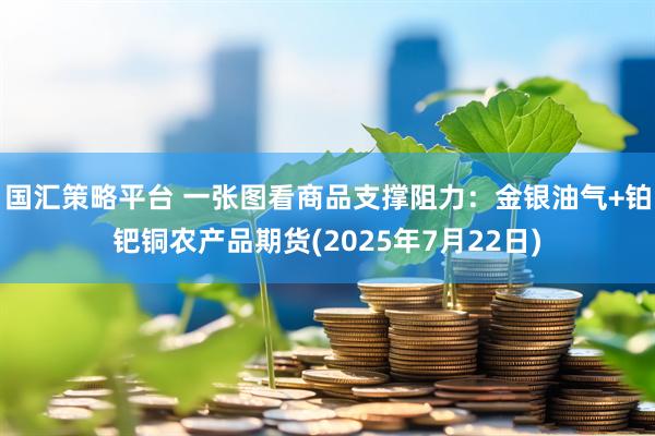 国汇策略平台 一张图看商品支撑阻力：金银油气+铂钯铜农产品期货(2025年7月22日)