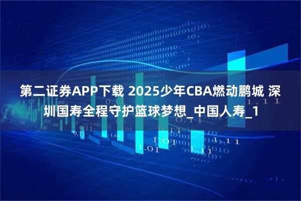 第二证券APP下载 2025少年CBA燃动鹏城 深圳国寿全程守护篮球梦想_中国人寿_1