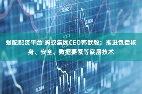爱配配资平台 蚂蚁集团CEO韩歆毅：推进包括核身、安全、数据要素等底层技术