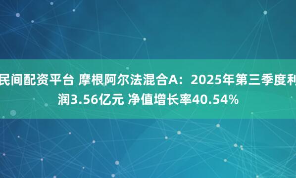 民间配资平台 摩根阿尔法混合A：2025年第三季度利润3.56亿元 净值增长率40.54%